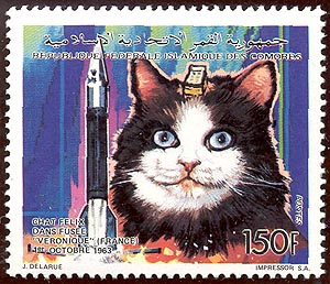 Illustration for article titled 10 Intrepid Animal Astronauts